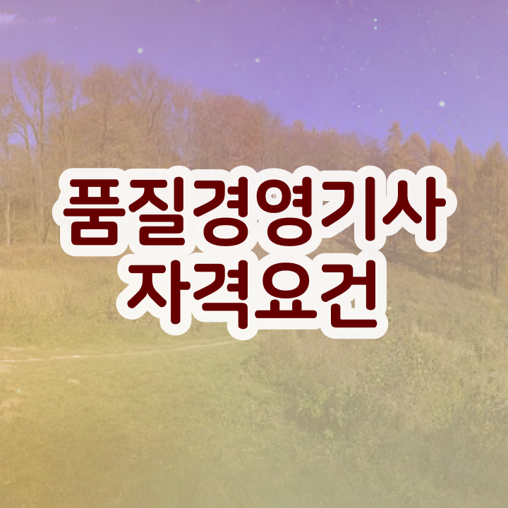  품질경영기사 하는일 품질경영기사 시험자격 집에서 온라인으로 1학기에 준비한 팁