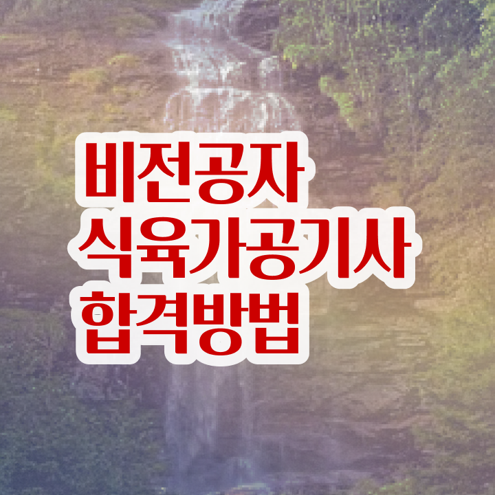  식육가공기사 응시조건 독학으로 5달만에 끝낸 후기