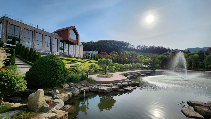  용인 신상 대형카페 베툴라 후기 팁