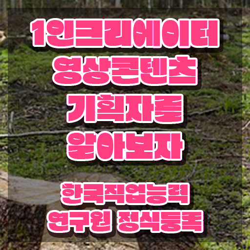  1인크리에이터영상콘텐츠기획자 시험접수 , 1인크리에이터영상콘텐츠기획자 자격증 상세한 합격한 전략 정리해드립니다