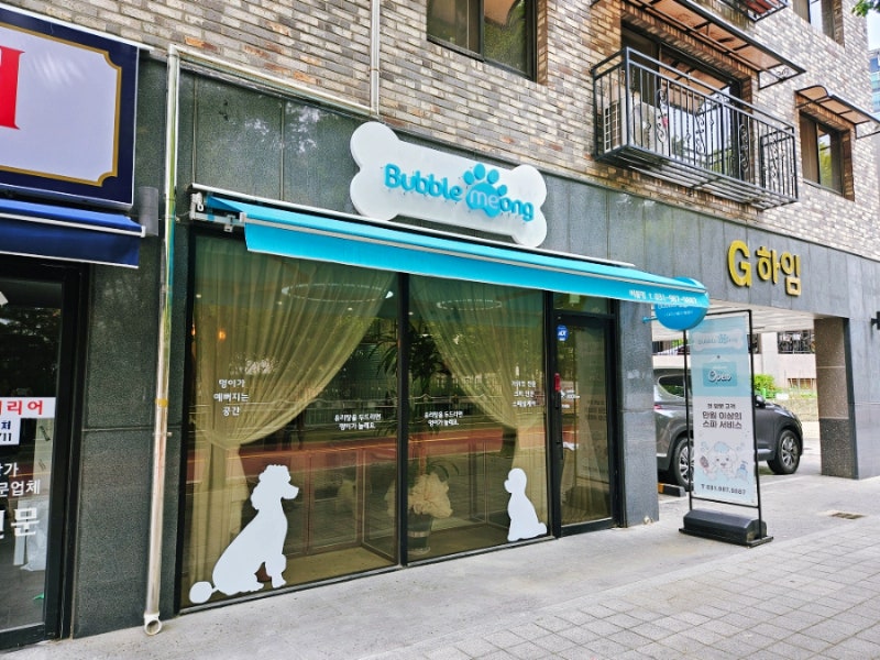 사진 8