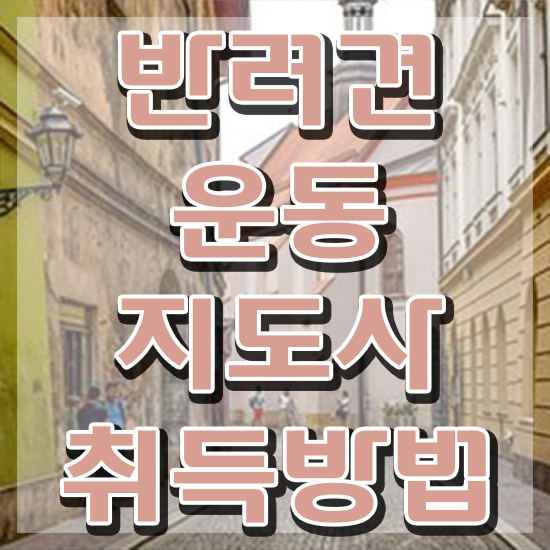  반려견운동지도사 무료 인강 , 반려견운동지도사자격증 상세한 합격 비법