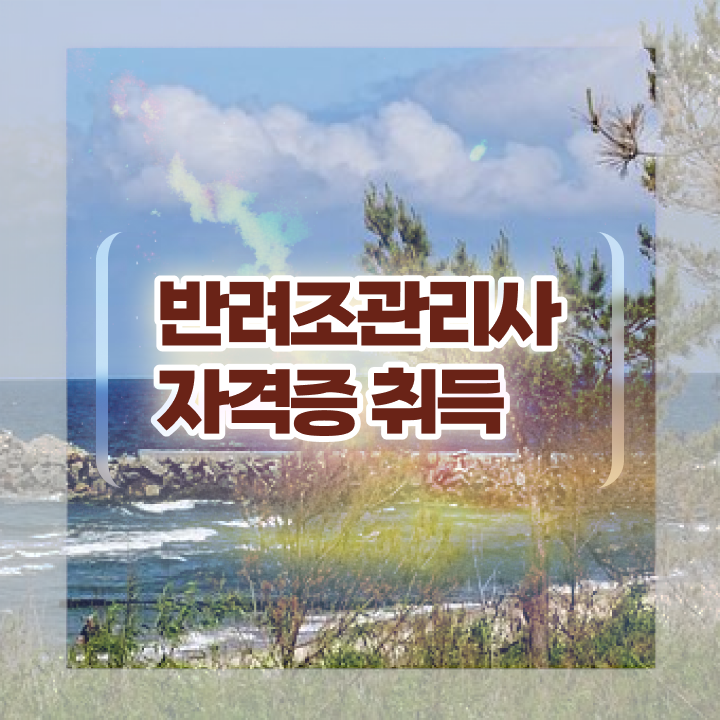  아마존 앵무새 종류 , 반려조관리사 자격증 1급,2급 동시에 합격한 후기 , 취업 전망