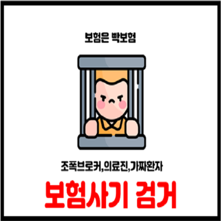  MZ조폭 보험설계사가 연루된 보험사기 조직 적발