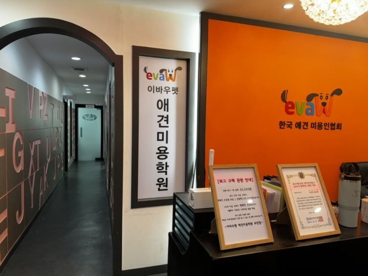  부천역 근처 애견미용학원 추천 이유(맞춤 지도, 체계적인 커리큘럼)