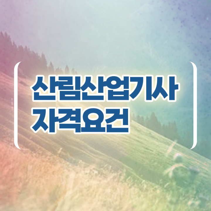  산림산업기사 응시자격 서류제출 산림산업기사 시험자격 온라인 과정으로 15주만에 준비한 방법