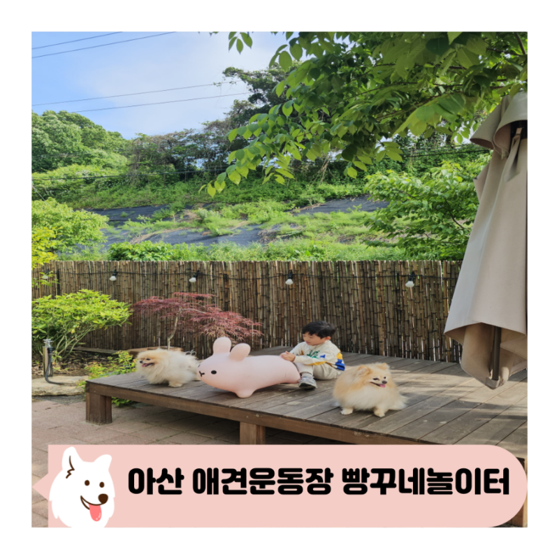 사진 3