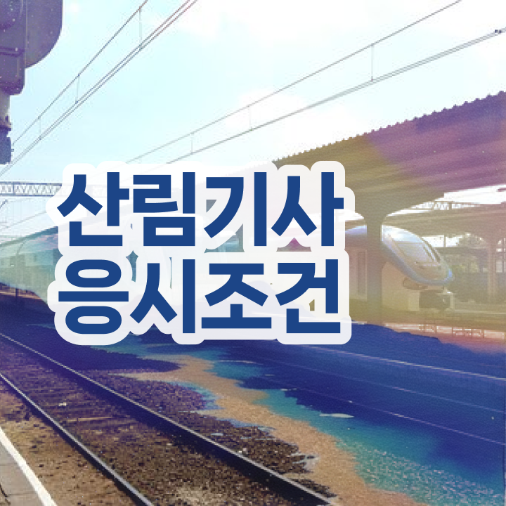  산림기사 공부기간 산림기사 응시조건 온라인으로 쉽고 빠르게 준비한 노하우