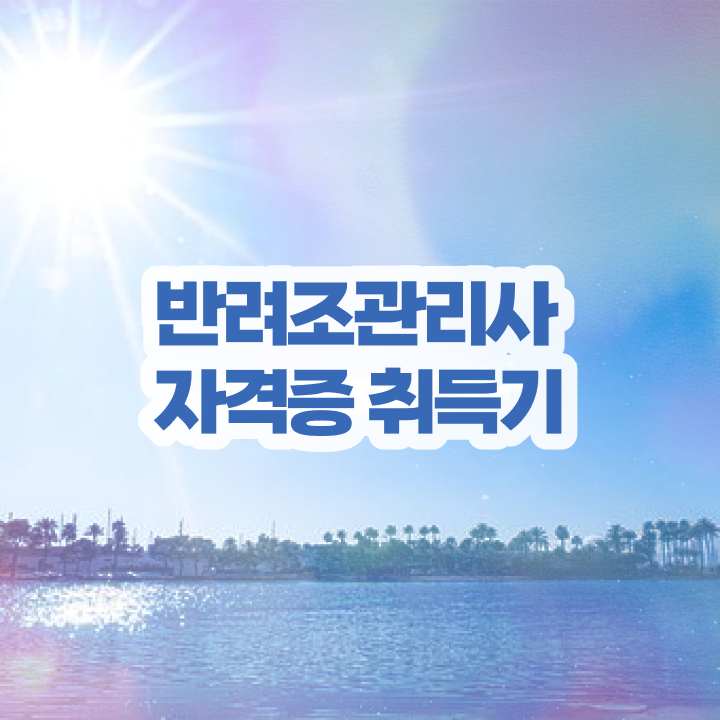  앵무새 귀 , 반려조관리사 자격증 단기간에 취득한 노하우 정리해드립니다