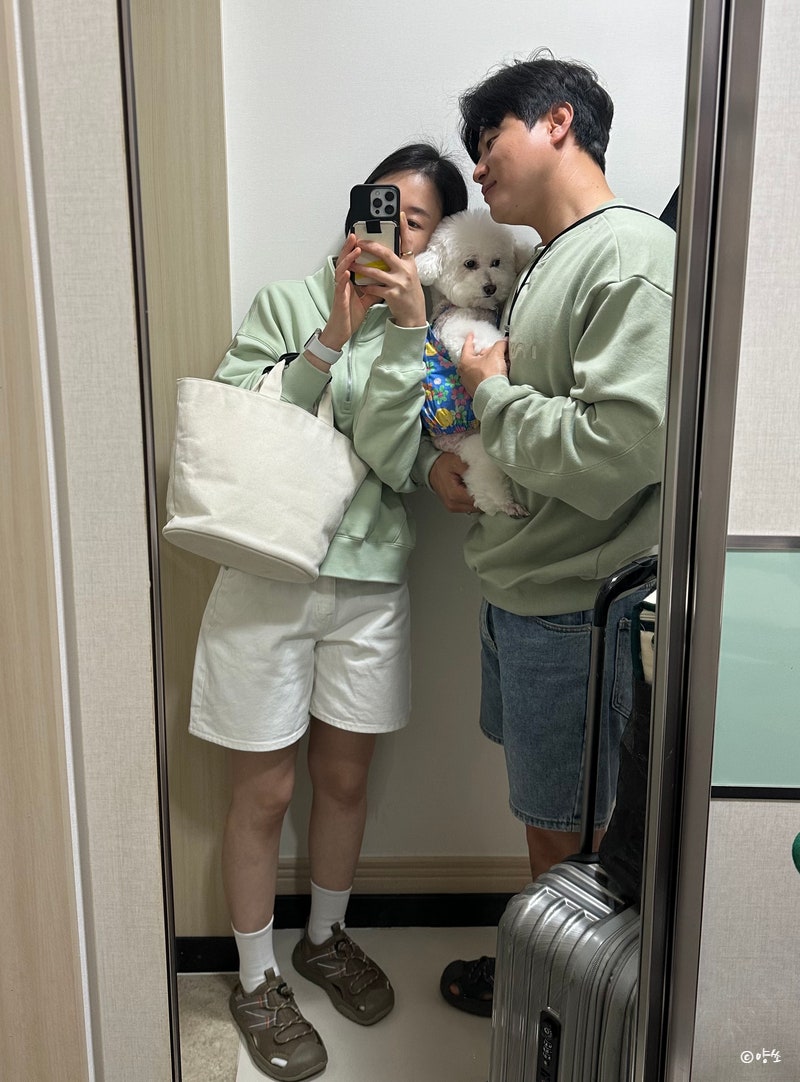 사진 7