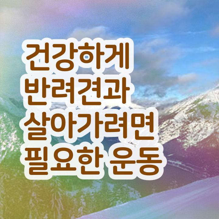  반려동물등록자진신고 반려견운동지도사 취득방법 및 온라인 독학