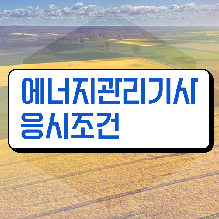  에너지관리기사 독학 에너지관리기사 취득자격 독학으로 5개월 만에 성공한 과정