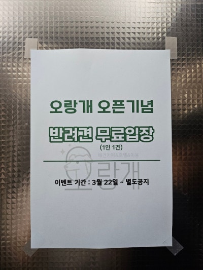 사진 2