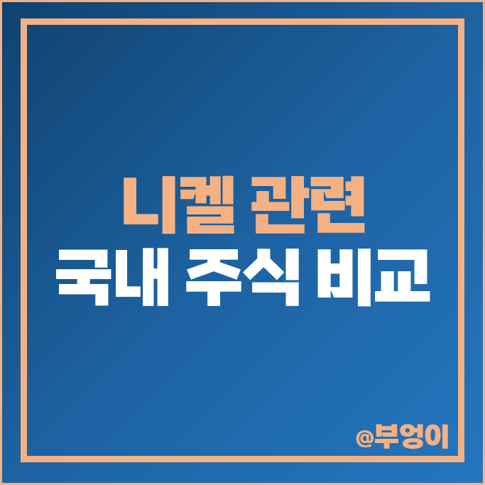 국내 니켈 관련주 포스코 인터내셔널 주가 대양금속 삼화전자 주식 국내 니켈 관련주 포스코 인터내셔널 주가 대양금속 삼화전자 주식