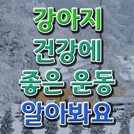  , 반려견운동지도사 온라인 수업만으로 무자격 비전공자도 간단하게 준비한 노하우