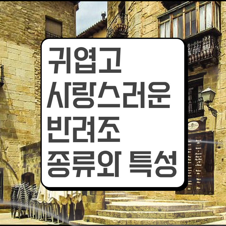  , 반려조관리사 자격증 합격한 팁 추천합니다