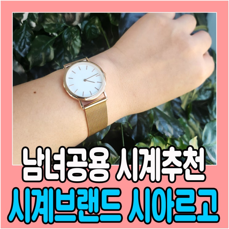  무신사 스탠다드 인기 브랜드 시아르고 남자여자 데일리시계 추천