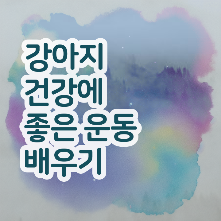  , 반려견운동지도사 비전공 무경력자도 일과 병행하며 손쉽게 준비한 팁