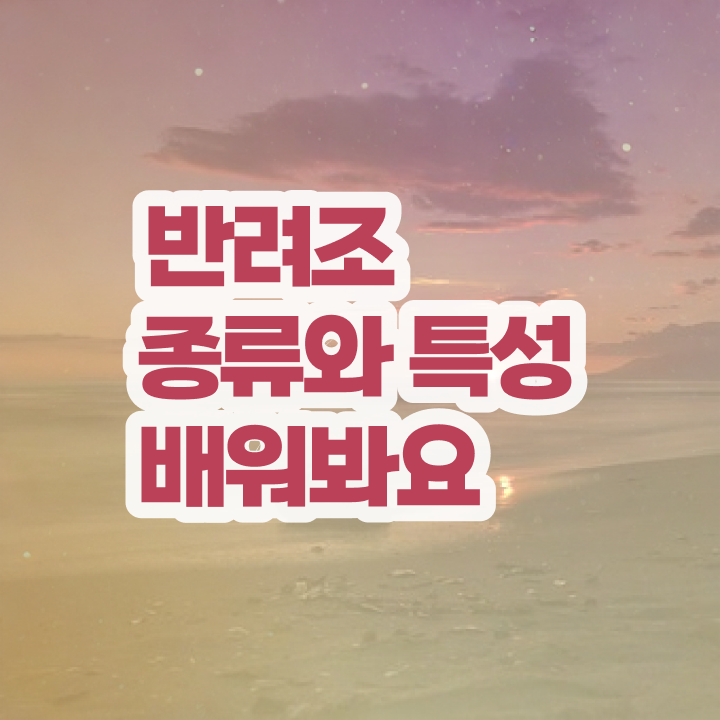 반려조관리사 , 반려조관리사 자격증 2주 만에 취득했던 후기 정보 가득