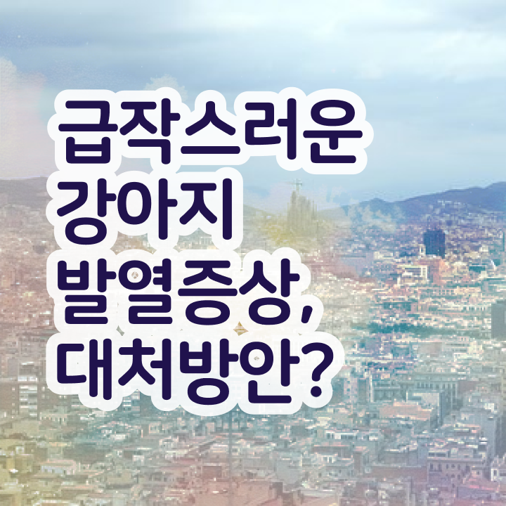  반려동물종합관리사 , 반려동물관리사 자격증 취득했던 후기 여기서 확인하세요