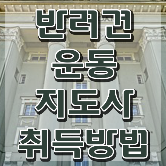 , 반려견운동지도사 관련학과 아니어도 인강만으로 쉽고 빠르게 성공한 팁