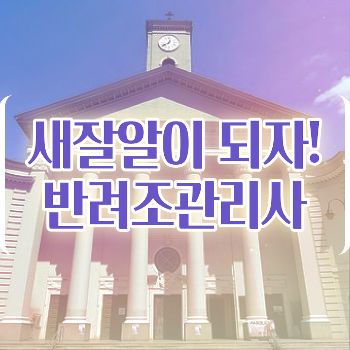  코뉴어 앵무새 키우기 , 반려조관리사 자격증 준비한 방법 알아볼게요