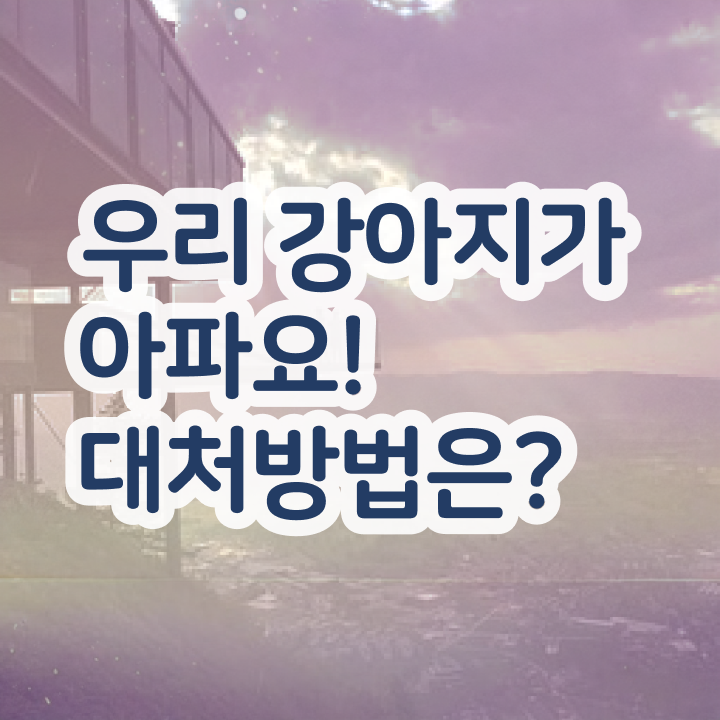  반려동물관리사 , 반려동물관리사 자격증 합격한 비법 정리