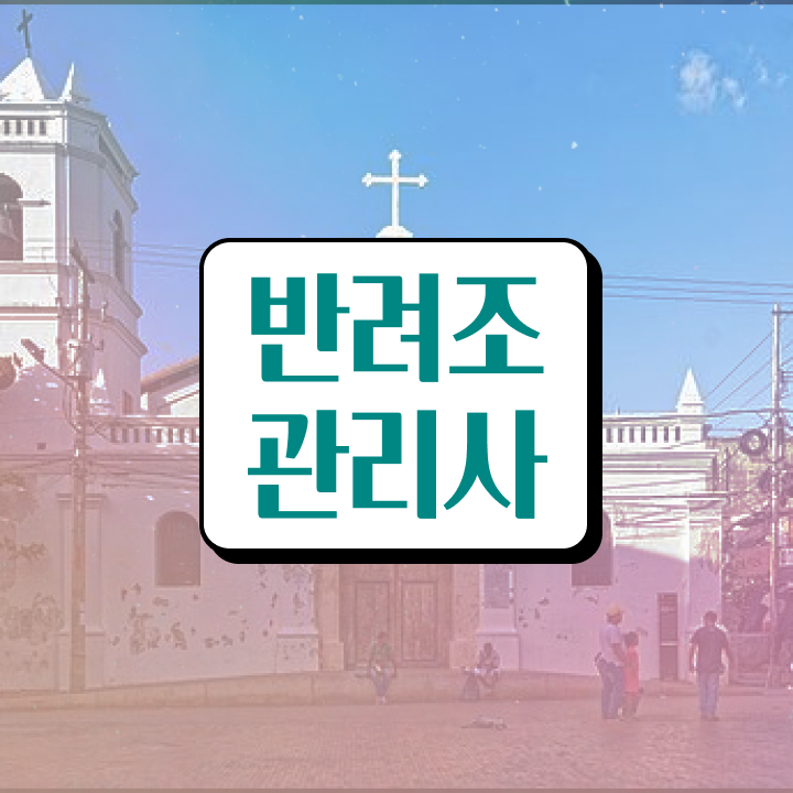  , 반려조관리사 자격증 온라인으로 간단히 취득한 과정 궁금하셨다면