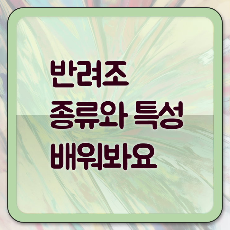  퀘이커 앵무새 가격 , 반려조관리사 자격증 한달 만에 합격정보 및 취업 전망