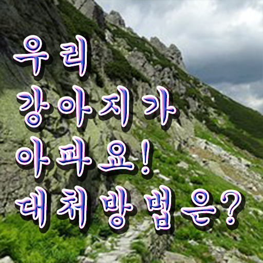  반려동물관리사 , 반려동물관리사 자격증 2주 만에 취득한 노하우 및 향후 전망