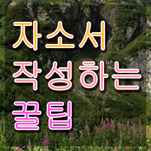  대학원자소서 , 자기소개서지도사 자격증 1급,2급 동시에 취득한 정보 및 이후 전망
