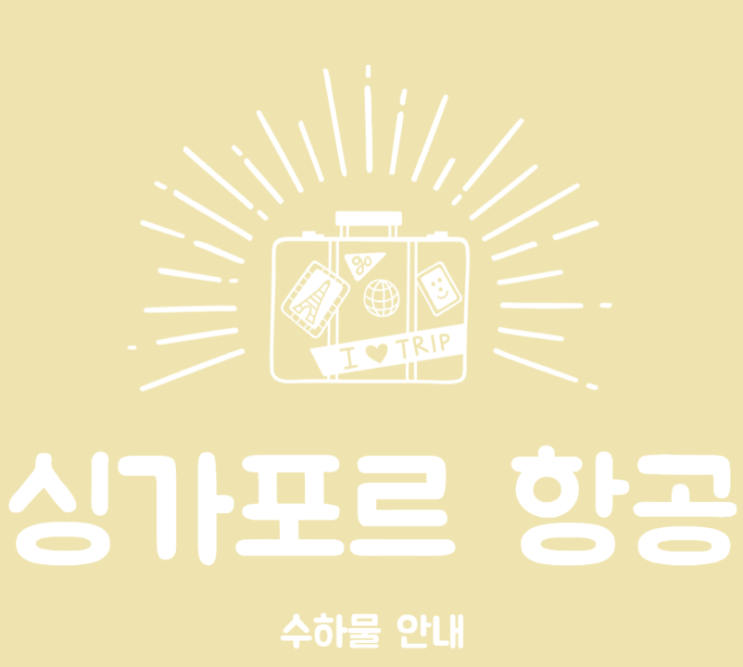  싱가포르항공 시 - 기내 수하물 제한, 반입허용품목, 제한품목, 금지품목
