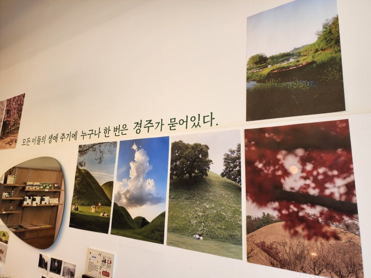  경주 스노우볼과 마그넷을 찾고 있다면 황리단길 배리삼릉공원