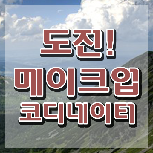  메이컵국가자격증 , 메이크업코디네이터 자격증 시험준비 준비했어요