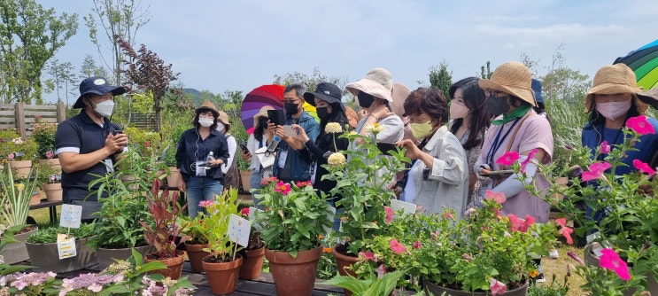 정원 가꿀 때 우리 자생식물을 활용 해보세요 정원 가꿀 때 우리 자생식물을 활용 해보세요