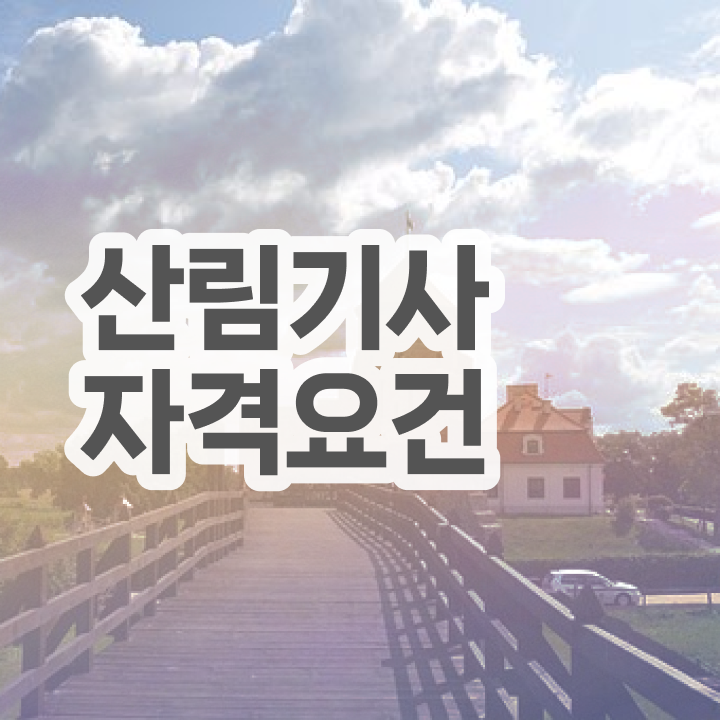  산림기사 학점은행제 산림기사 시험자격 독학으로 15주만에 준비한 노하우