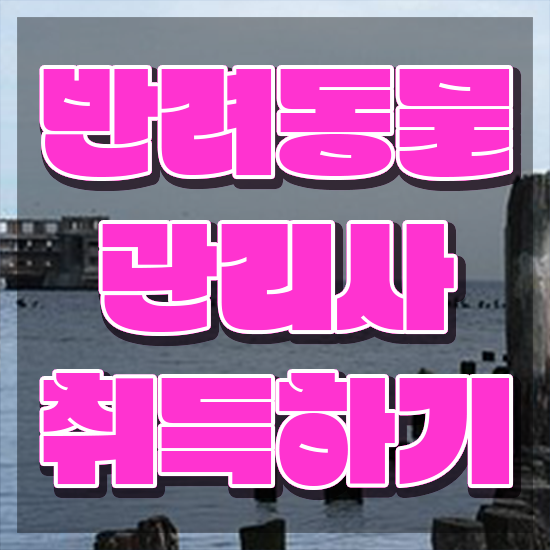  40대여자취업 , 반려동물관리사 자격증 쉽고 간편하게 합격한 팁 궁금증 해결