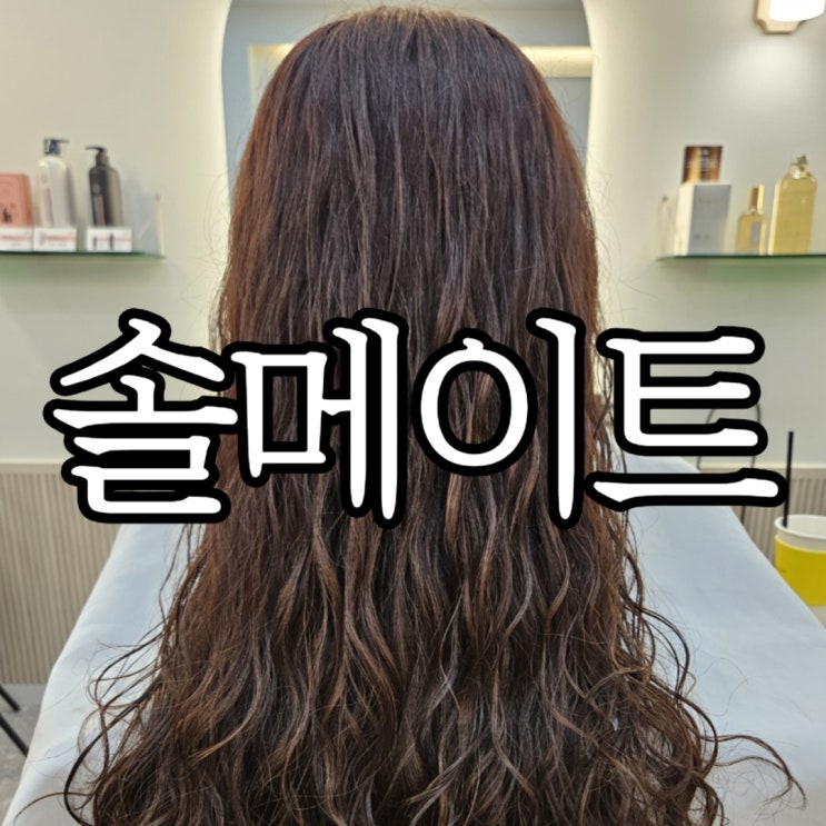  창원미용실 '솔메이트'에서 데미유니프클리닉 받고 온 후기