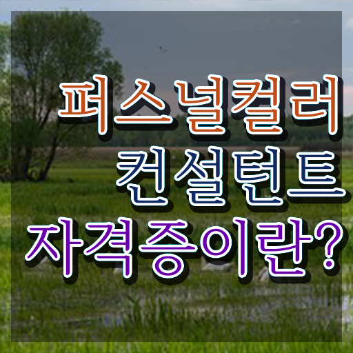 퍼스널컬러컨설턴트자격증 20일 만에 취득한 과정