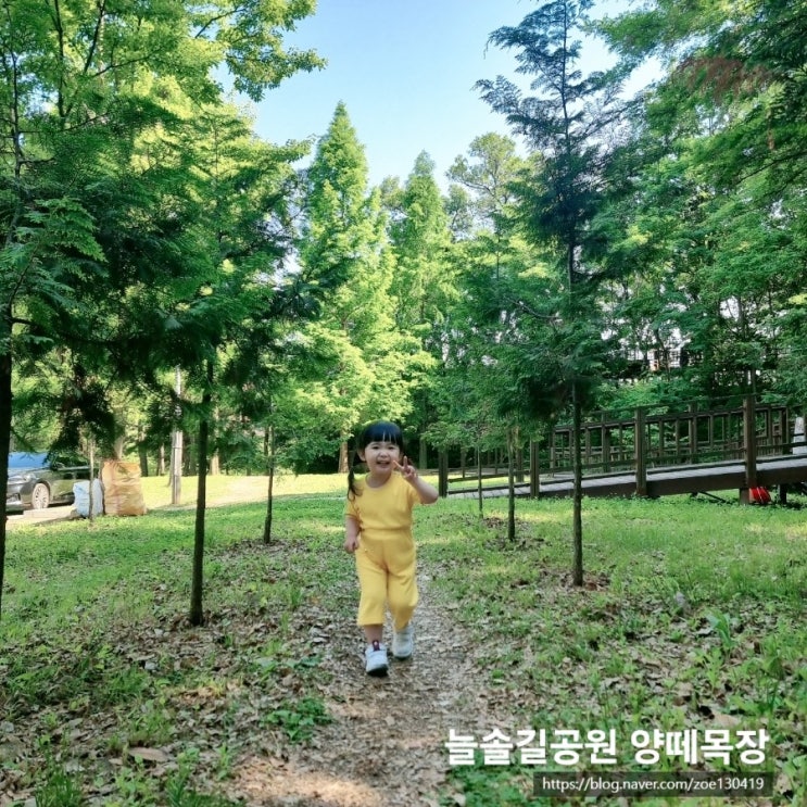  아이랑 무료로 가볼만한곳 :) 인천 늘솔길공원 양떼목장 다녀왔어요! 텐트치고 놀기 좋아요