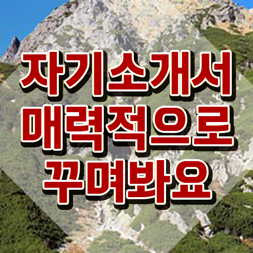  , 자기소개서지도사 자격증 합격정보 완벽 정리