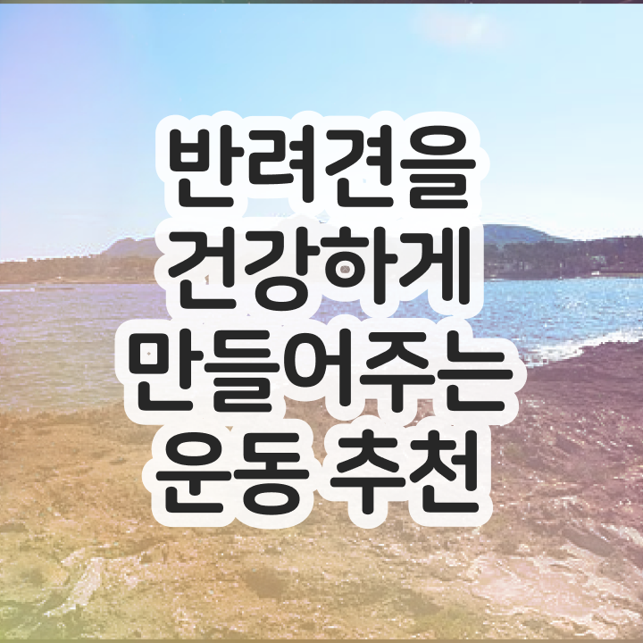  동물관리사 , 온라인 교육으로 반려견운동지도사자격증 준비 과정