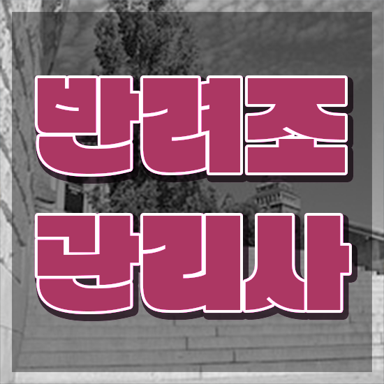  모란 앵무새 , 반려조관리사 자격증 간단하게 취득했던 후기 , 향후 전망