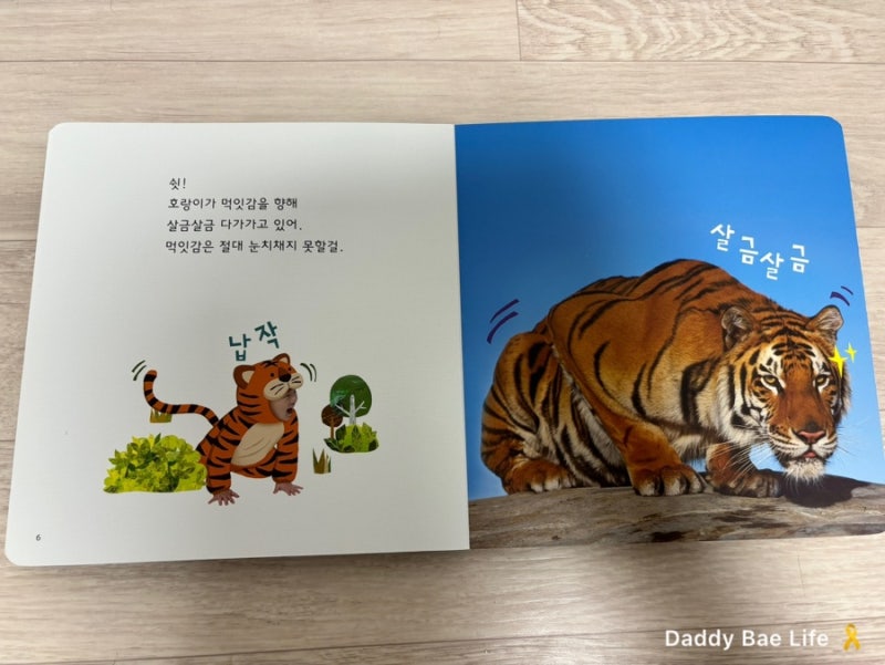 책을 읽는 호랑이