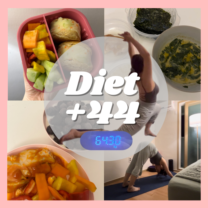  다이어트 45일차 | 간식끊기 1일차 | 건강하게 챙겨먹기 |식단일기 | 운동일기 | 폼롤러와 스트레칭 운동하기 | 라인잡기