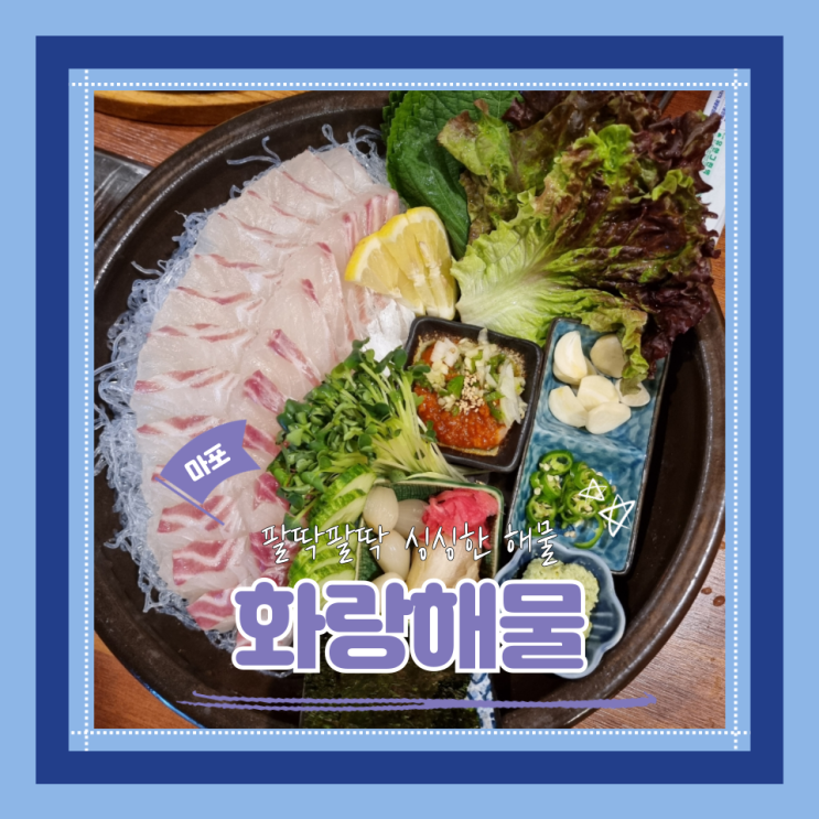  (마포역맛집) 마포횟집 싱싱한회를 즐길 수 있는 화랑해물