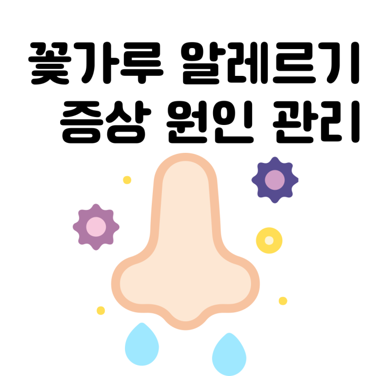  꽃가루 알레르기 증상과 원인 생활 습관 알아보기