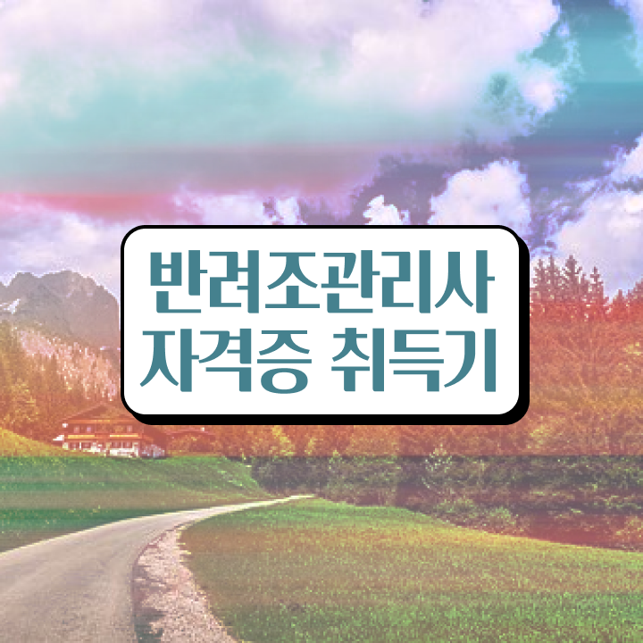  , 반려조관리사 자격증 1달 만에 준비한 방법 궁금하셨다면