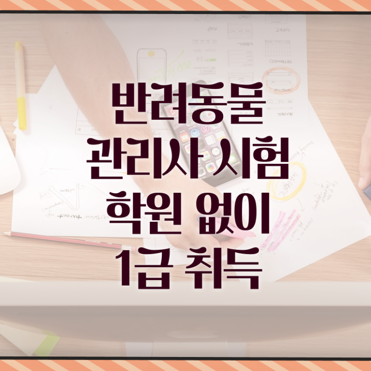 반려동물관리사자격증학원추천 , 반려동물관리사 자격증 준비한 방법 요약해봤어요