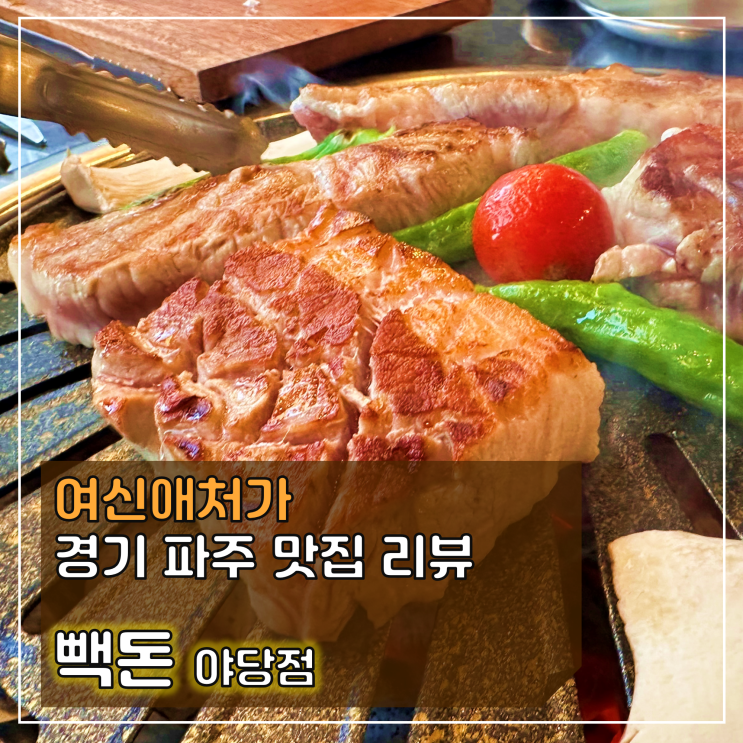  육즙과 풍미가 가득한 빽돈 파주맛집 야당점